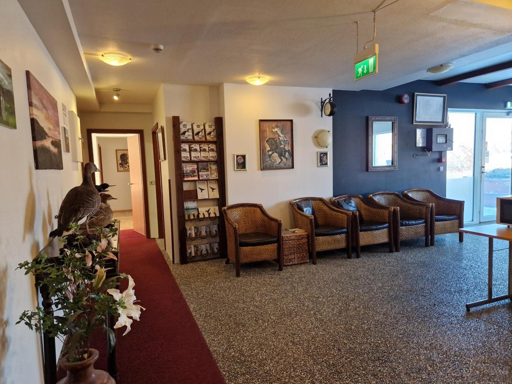 Gauksmyri Guesthouse Lodge Hvammstangi Esterno foto